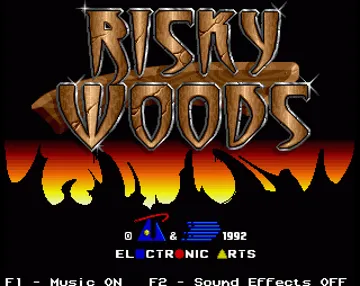 Risky Woods_Disk1 screen shot title